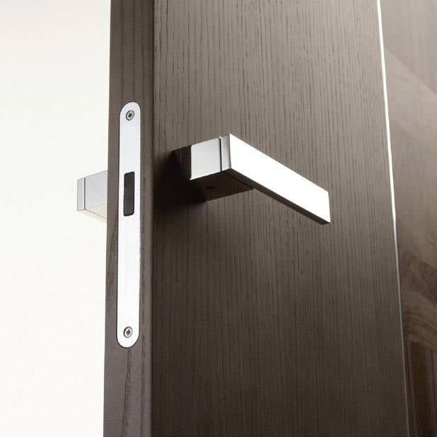 Close-up of a modern door handle and silver magnetic lock on a wooden door, dark wood veneer.