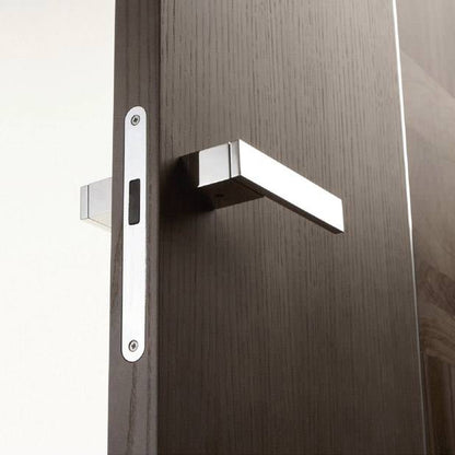 Close-up of a modern door handle and silver magnetic lock on a wooden door, dark wood veneer.