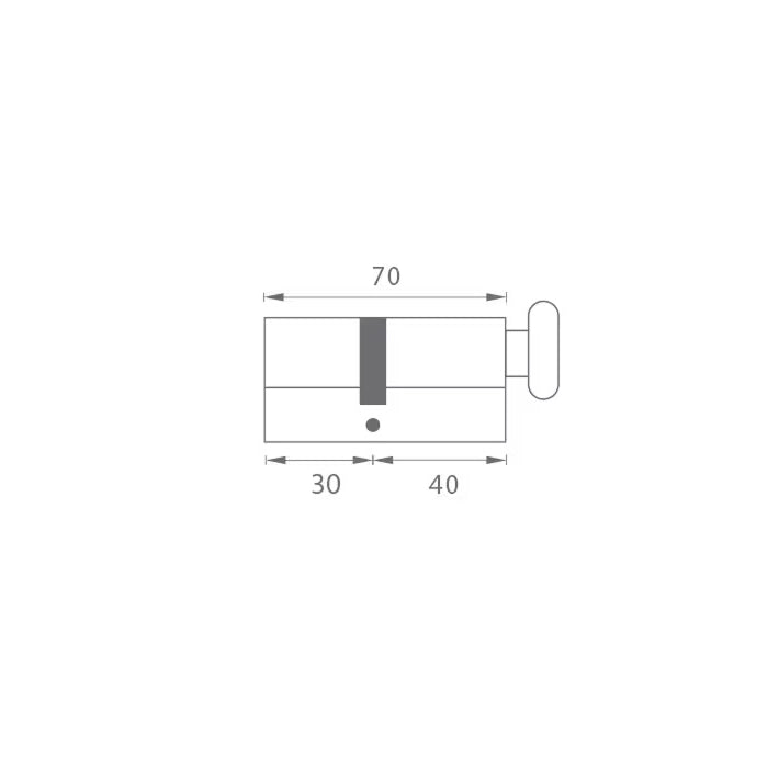 Euro Profile Cylinder